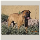 Kenoa and Clints from Larry Coldwater Payton 14mths1008a.jpg